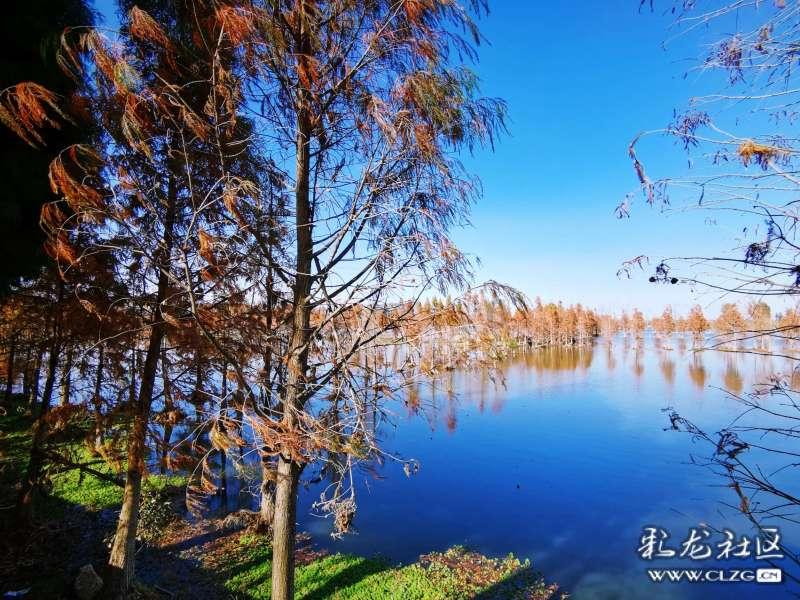 尼尔机械纪元