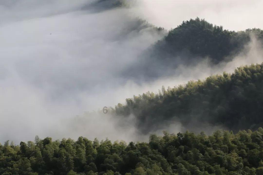 安阳县和滑县有区别吗游戏画面